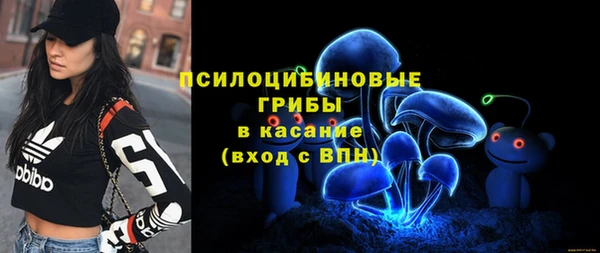 MDMA Premium VHQ Каменск-Шахтинский