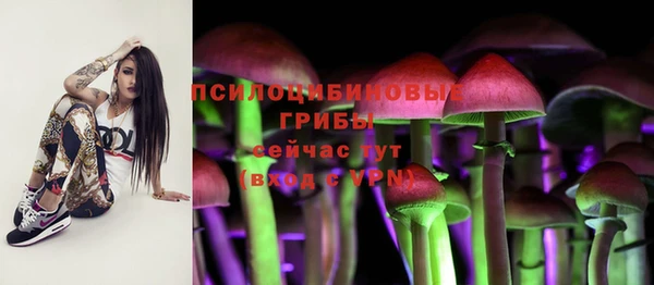 mdma Каменка